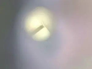 Cam4 Sex Cam of petitcul_xxx