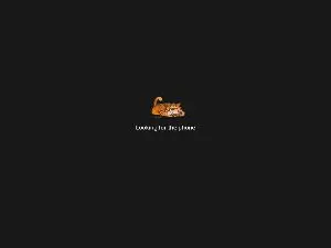 Cam4 Live Sex of _brownsugar_