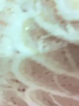 Cam4 Live Porn of Johnna692