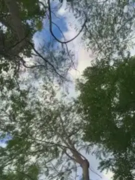 Cam4 Watch Live Sex Cams of Outdoorsd
