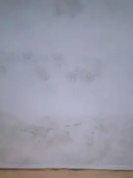 Cam4 Sex Cam of RODRIGOPASIO