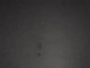 Cam4 Live Porn of zena_xxx