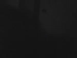 Cam4 Adult Video Chat of zena_xxx