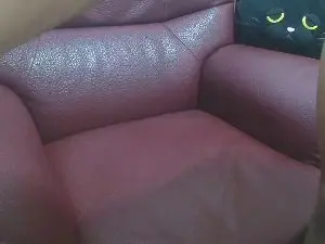 Cam4 Best Webcam of likebesucked