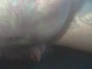 Cam4 Adult Webcam of TINYCOCK1956