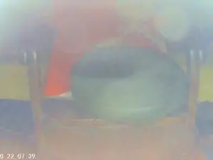 Cam4 Adult Webcam of jackhallowen
