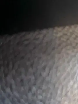 Cam4 Best Webcam of futbine5