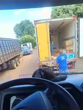 Cam4 Nude Webcam of arnocosta