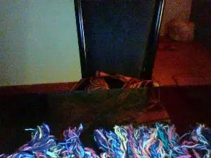 Cam4 Watch Live Sex Cams of pauloronga