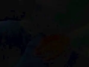 Cam4 Best live sex cam show of maturo32