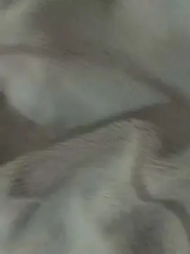 Cam4 Live Porn of leonardobrasil3