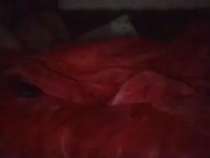 Cam4 Live Sex Cam of Couple_londonw1