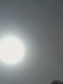 Cam4 Sex Cam of JAVIERAMIREZ232