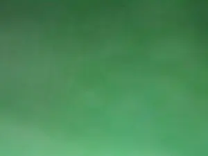 Cam4 Live Sex of jeffjeff1818