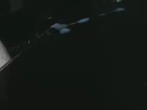 Cam4 Free Porn Cam of thealfawolf2