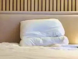 Cam4 Best live sex cam show of daddy_studfuck