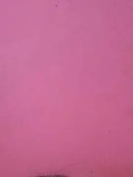Cam4 Free Porn Cam of MariaEduardas2