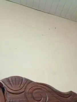 Cam4 Live Porn of barbosamg48