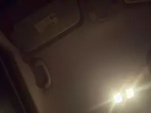 Cam4 Live Sex Cam of SmoothTactix