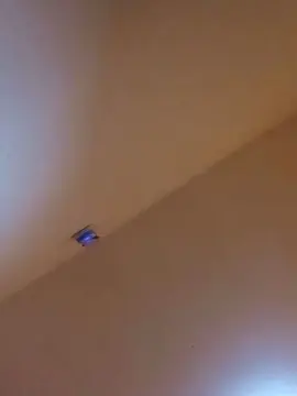 Cam4 Best live sex cam show of nemo5_fun