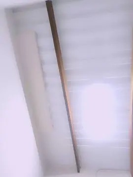 Cam4 Live Sex of Trans_Sub69