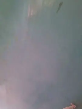Cam4 Live Sex Cam of WzBrasil