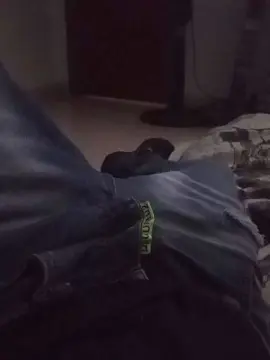 Cam4 Private Sex Chat of hardsexlove08