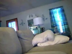 Cam4 Live Porn of Halls_pass
