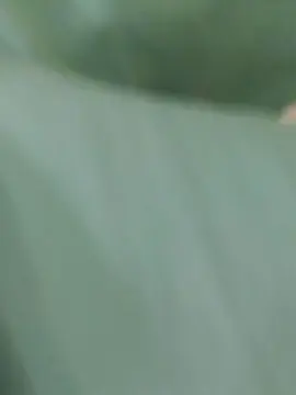 Cam4 Live Porn of Bandolero96