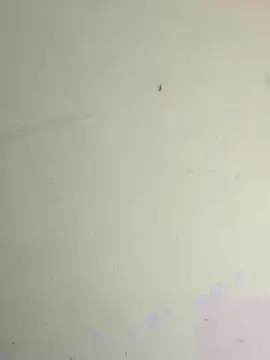 Cam4 Sex Chat of SABRINIIXC