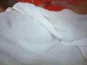 Cam4 Free Porn Cam of francoiscurieux