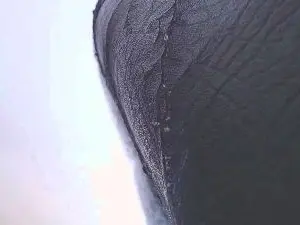 Cam4 Private Sex Chat of Squirtbig3