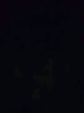 Cam4 Free Porn Cam of xoxitocalentito