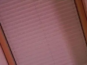 Cam4 Best Webcam of MarlinSkates