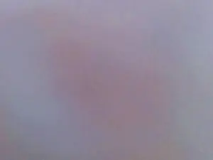 Cam4 Free Porn Cam of latina_megan