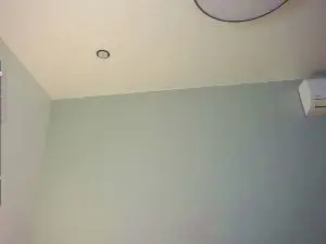 Cam4 Free Live Porn of SibylLindsey