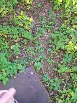 Cam4 Adult Webcam of hotbody18y