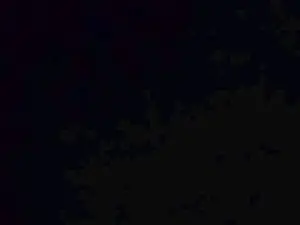Cam4 Live Porn of VITO1977