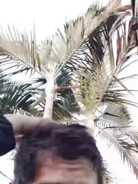 Cam4 Live Sex Cam of paulosexy