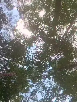 Cam4 Watch Live Sex Cams of HANCOCK3333