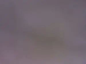 Cam4 Watch Live Sex Cams of singolare1
