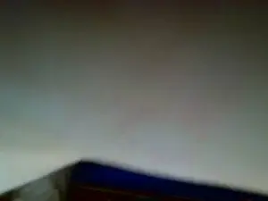 Cam4 Best live sex cam show of BLU_KORALYN