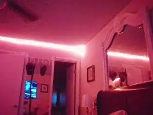Cam4 Free Porn Cam of SoberJudge26