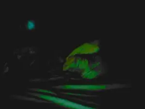 Cam4 Sex Cam of teaserbayte619