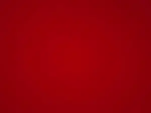 Cam4 Adult Webcam of PAKOMIRANDAXXX