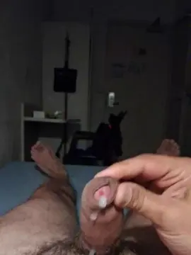 Cam4 Free Porn Cam of freerennes40