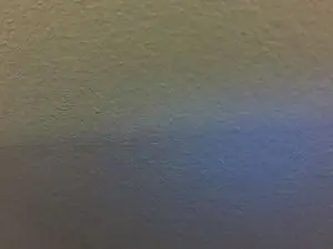 Cam4 Live Porn of reivaxf