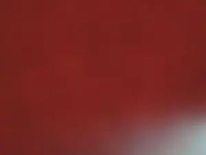 Cam4 Private Sex Chat of reivaxf