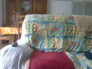 Cam4 Sex Chat of cybear