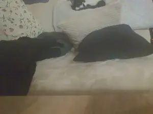 Cam4 Live Sex Cam of Teamtouch